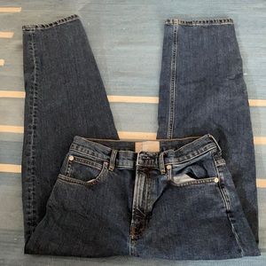 Everlane way high jean in blue.